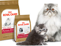 Royal Canin Cat. Makanan Untuk Melebatkan dan Menghaluskan Bulu Kucing