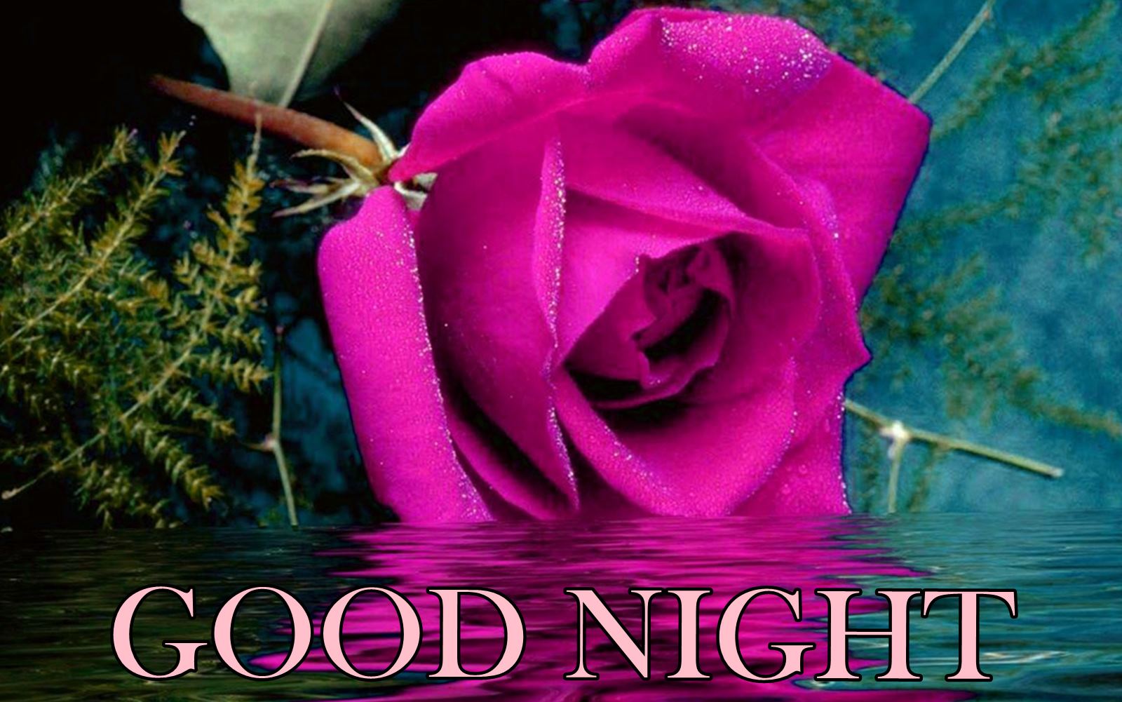 Good Night Flowers Pictures and Graphics