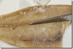 IMG_2580 IMG_2580