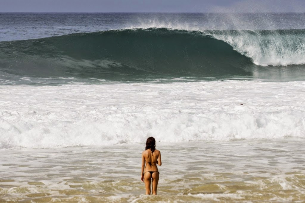 http://www.grindtv.com/action-sports/surf/post/insiders-guide-north-shore-oahu/