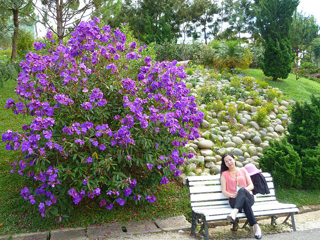 Da Lat ready to welcome visitors to tourism week 8