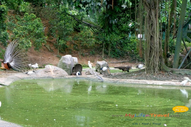 Kuala Lumpur Bird Park