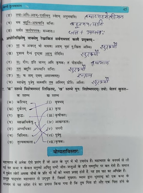 NCERT / CBSE Sanskrit Class 10 SHEMUSHI PART 2 Chapter 5 Janni Tulyavatsala Hindi Translation And Question Answer Solution एनसीईआरटी कक्षा 10 संस्कृत शेमुषी भाग 2 पाठ 5 जननी तुल्यवत्सला हिंदी अनुवाद और अभ्यास कार्य