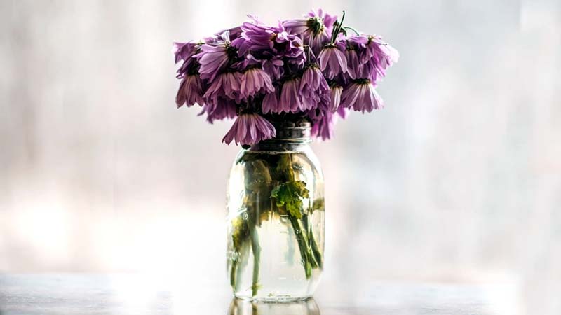 How to Make Flowers Last Longer With This Genius Vodka Hack
