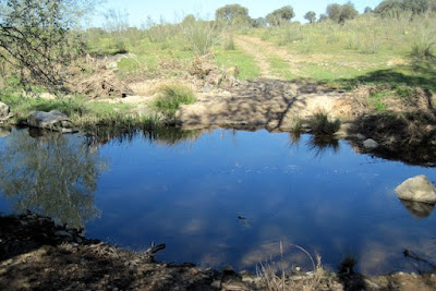 rio Guadarramilla