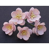 http://www.artimeno.pl/ozdoby/7461-wild-orchid-crafts-cherry-blossoms-kwiaty-wisni-mix-pastelowy-10szt.html