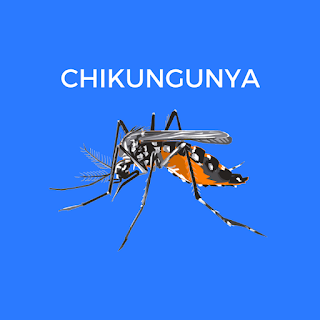 Dengue, Chikungunya 