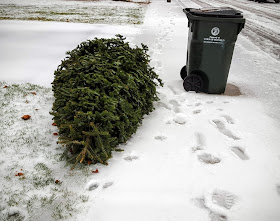 put tree out with the trash on your day during the week of Jan 11