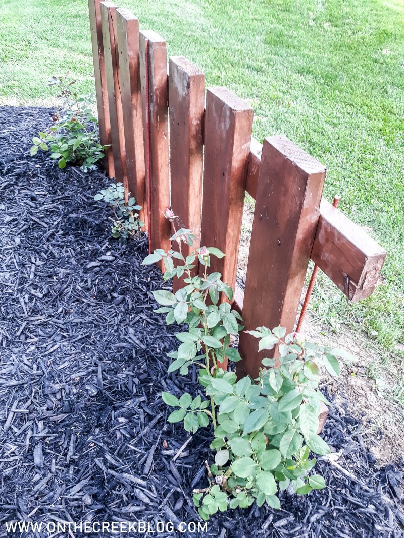 Rustic fence with climbing roses | On The Creek Blog