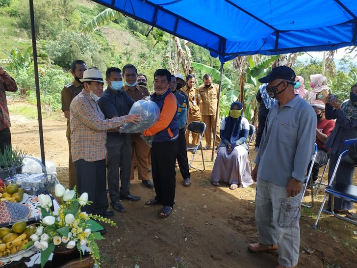 Wako AJB Serahkan Bantuan Bibit Ikan Kepada Kelompok Tani Budidaya