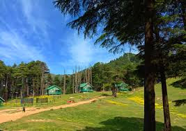 patnitop