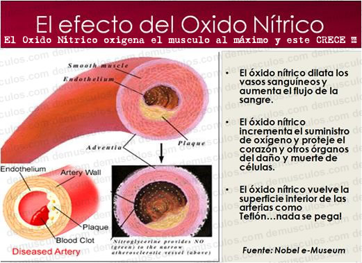 ¿Qué es el óxido nítrico?