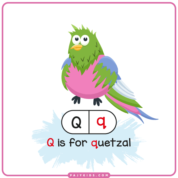 حرف q - حرف q بالانجليزي - حرف كيو انجليزي - حرف كيو بالانجليزي سمول