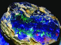 Black Opal