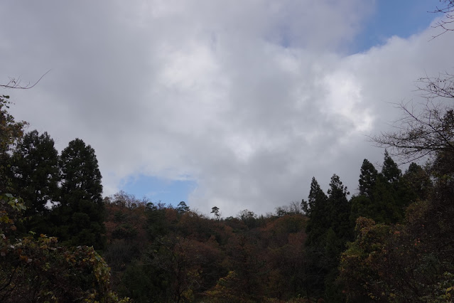 鳥取県西伯郡伯耆町真野 伯耆町総合スポーツ公園への道路からの眺望