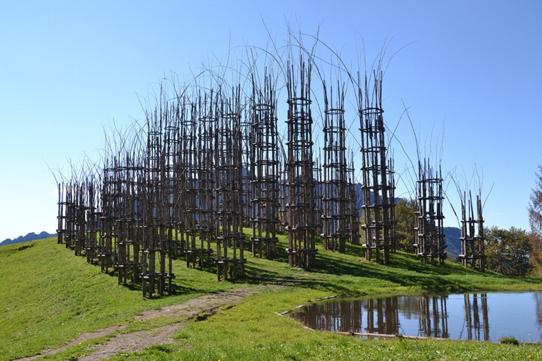 tree-cathedral-7 tree-cathedral-7