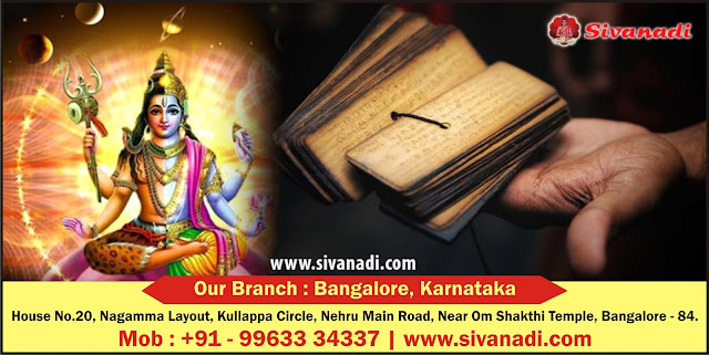 Nadi Astrology in Bangalore, Online Nadi Astrology in Bangalore