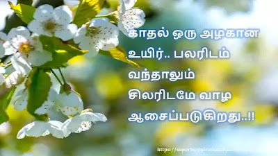 Love Quotes in Tamil 324
