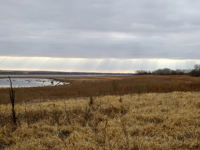 P1040294