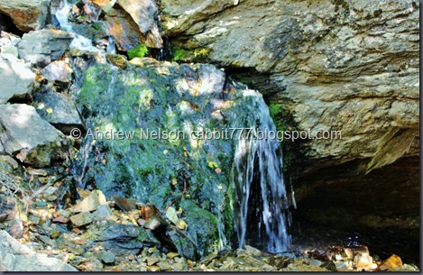 IMG_0627 - Copy