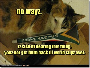 funny-pictures-cat-hides-horn