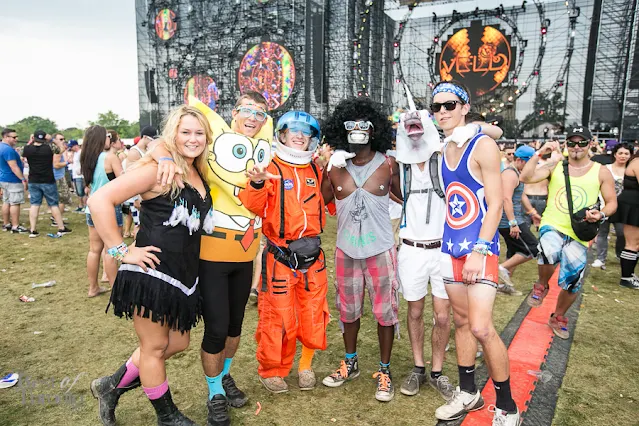 2025 veld music festival​