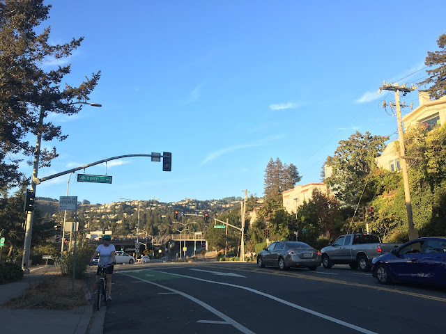 Amber in bike lane on Broadway with Oakland hills behind