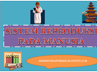 Sistem Reproduksi Manusia