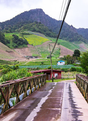 Cerro Punta Chiriquí