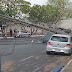 Urgente: Vários postes de energia caíram em Avenida no Centro de Timon 