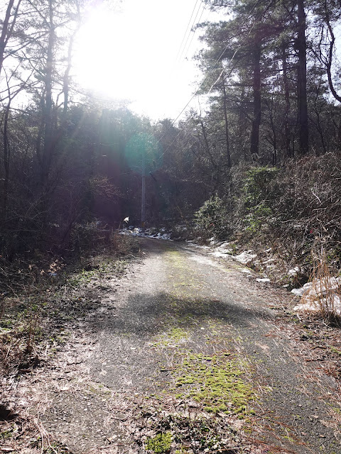 孝霊山　電波塔の山の管理用道路