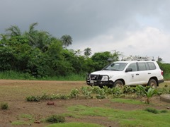 IMG_5976 (Medium)