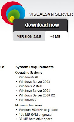 requisitos servidor visual svn