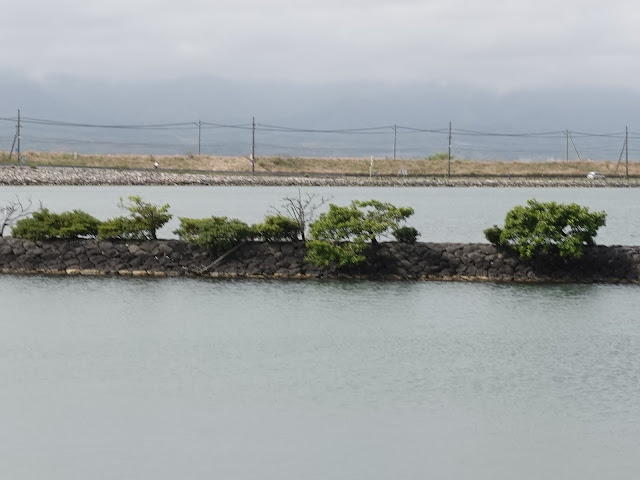 大根島中海堤防からの眺めが綺麗です
