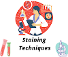 Different types of microbial staining techniques