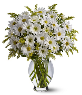 Classic White Daisies