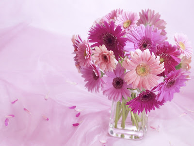 Flowers Normal Resolution Wallpaper 10