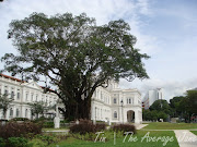 National Museum of Singapore (apologies as this might not be the best photo . (national museum of singapore)