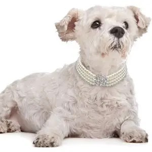 Kingdom Elegant Fancy Rose Flower Pearl Dog Collar