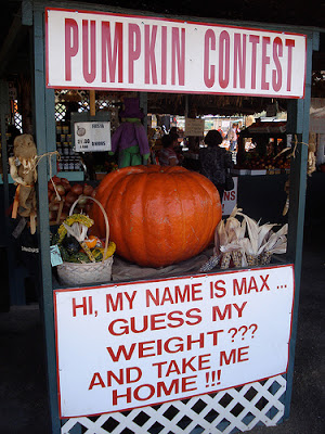  Prepare some pumpkins for Guess the Pumpkin Weight game. Just make everyone guess the weight of the pumpkin and a prize will be given to the one who can guess the exact weight.