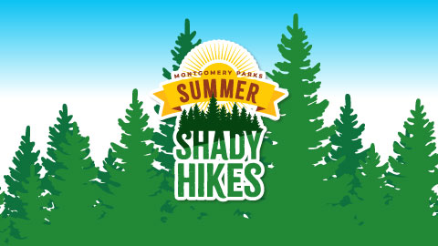 ‘Summer Shady Hikes’ Will Offer Beginning Hikers Opportunities to Stay Fit and Enjoy Nature, Despite the Heat