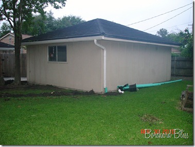 Backyard Reno 002