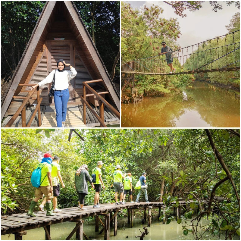 Taman Wisata Alam Mangrove