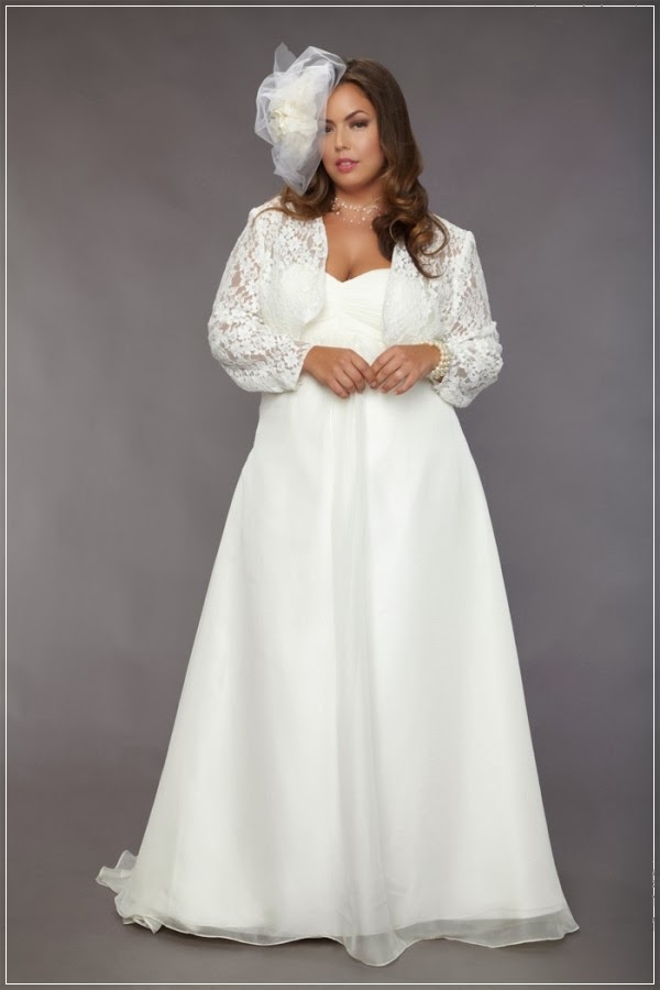 Plus Size Vintage Wedding Dress with Veil