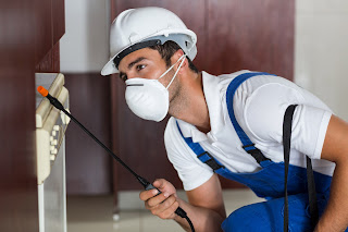 pest control Brisbane