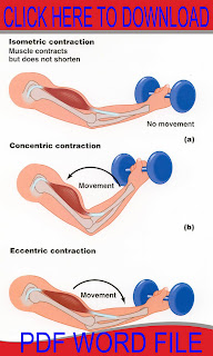 Isometric Exercises