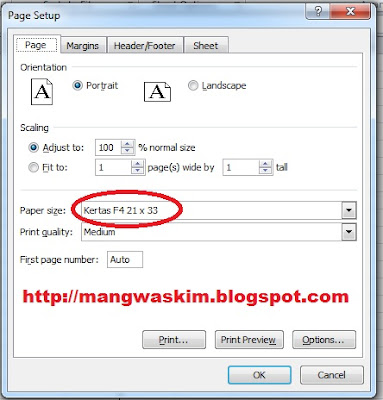 Cara Membuat Ukuran Kertas Sendiri Di Microsoft Excel 