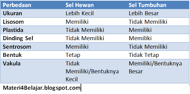 8 Perbedaan Sel Hewan  dan  Sel Tumbuhan  Materi Belajar