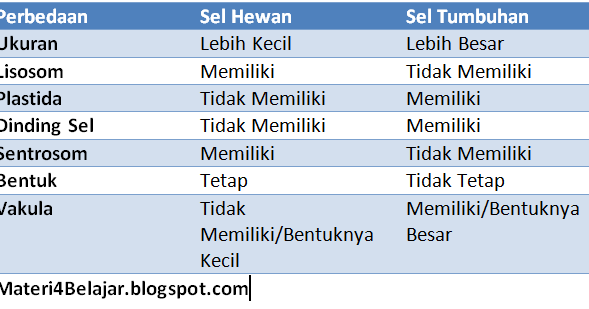 8 Perbedaan  Sel  Hewan  dan  Sel  Tumbuhan  Materi Belajar