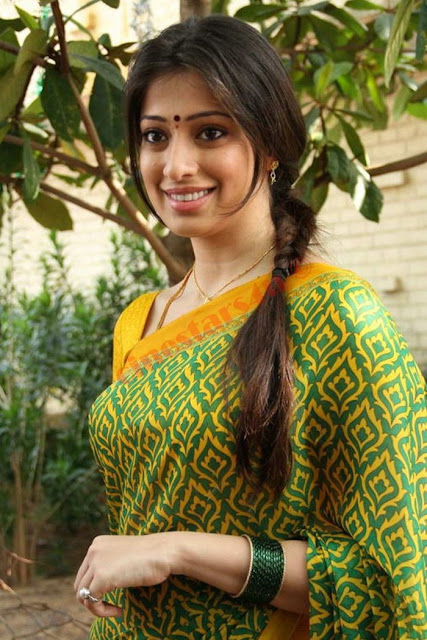 LAKSHMI RAI LATEST SAREE PHOTOS